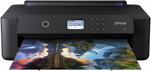 Cartuchos Epson Expression Photo XP-15000