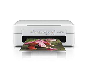 Cartuchos Epson Expression Home XP-257