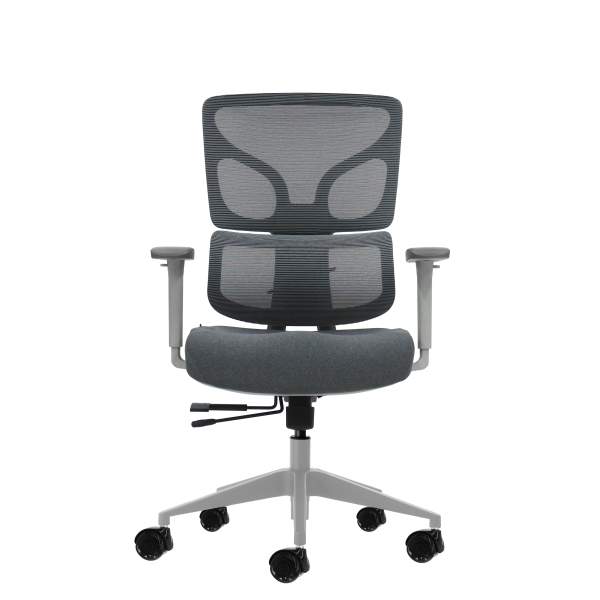 Oqonos Cherg 015 Silla de Oficina Ergonomica con Respaldo y Asiento de Malla Elastica, Reposabrazos 4D, Asiento Deslizable Ergonomico Moldeado y Ruedas de Silicona - Gris Oqonos Cherg 015 Silla de Oficina Ergonomica con Respaldo y Asiento de Malla Elastica, Reposabrazos 4D, Asiento Deslizable Ergonomico Moldeado y Ruedas de Silicona - Gris