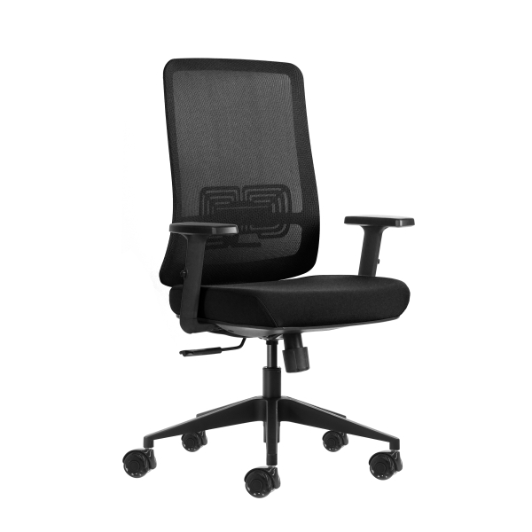 Oqonos Cherg 017 Silla de Oficina Ergonomica con Tejido Impermeable, Mecanismo Autobalanceado, Soporte Lumbar Ajustable, Reposabrazos Ajustables en Altura y Ruedas de Silicona - Negro