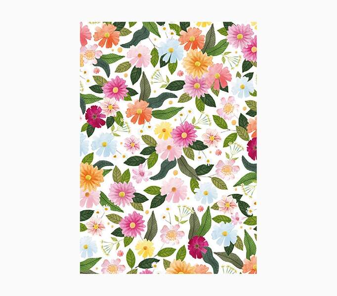 Pictura Cuaderno A6 - 105x150mm - 48 Paginas con Lineas - Papel con Certificacion FSC